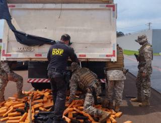 Operação conjunta entre DOF e COD apreende uma tonelada de maconha em Santa Rita do Pardo