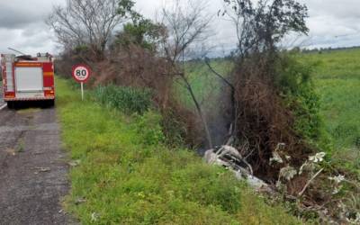 Criança de 8 anos morre em acidente após carro bater em árvore e pegar fogo na BR-262